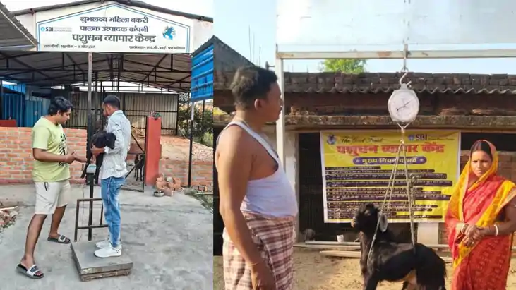  डिजिटल क्रांति