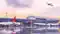 Purnia Airport 