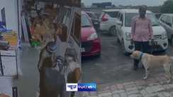 Maruti showroom in Rohtas
