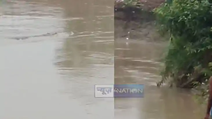 Gharial Sparks Panic Among Sawan Devotees at Muzaffarpur Gha