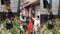 Sawan First Somwari Baba Siddhanath Temple