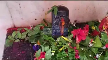 बिहार में जहां आस्था मिलती है इतिहास से... अंगभूमि का दिव्य तीर्थ बाबा ज्येष्ठगौरनाथ धाम, 1400 वर्ष पुरानी दुर्लभ ज्येष्ठ शिवलिंग , कर लीजिए दर्शन