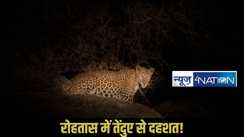 Rohtas tendua rescue