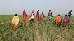  कटिहार में दबंगों का कहर