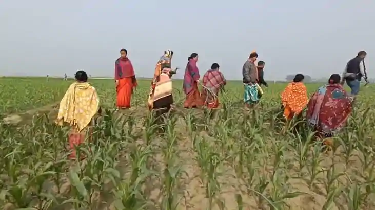  कटिहार में दबंगों का कहर