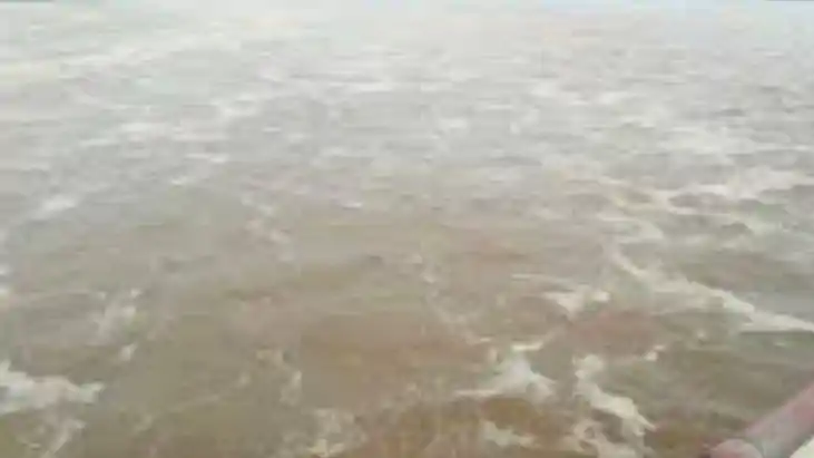 Bihar Flood Alert Bihar Flood Alert