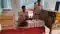 महारानी मंदिर के पास पुलिस की बड़ी कार्रवाई, 181 लीटर विदेशी शराब के साथ स्कूटी जब्त