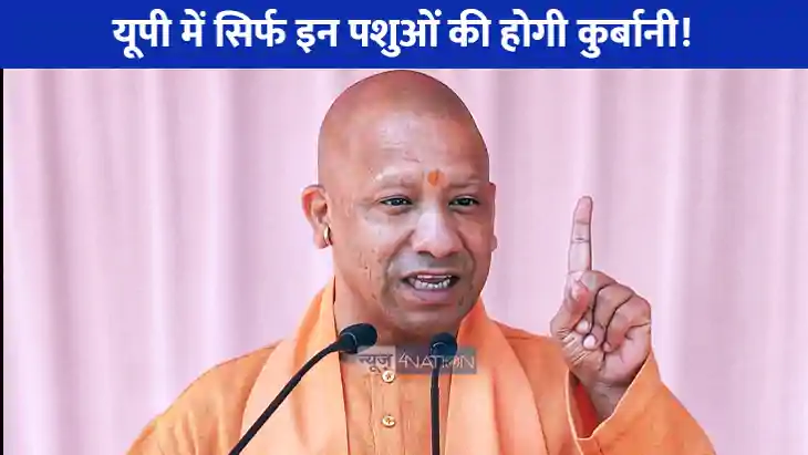 UP NEWS: यूपी में इन जानवरों की नहीं होगी कुर्बानी सीएम योगी