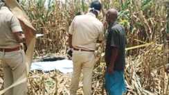  dead body of a girl was found 
