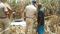  dead body of a girl was found 