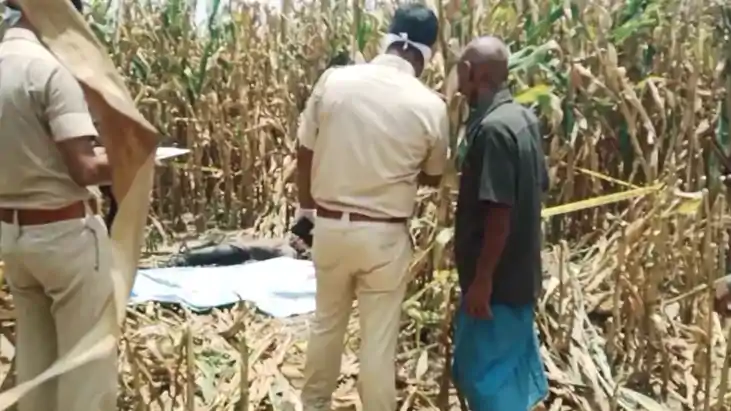 dead body of a girl was found dead body of a girl was found