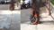 Katihar Bike Fire Two Narrowly Escape as Moving Bike Catches Fire