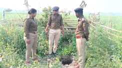 Bihar News : शराब कारोबारियों का अनोखा कारनामा देखकर हैरान रह गयी पुलिस, आलू के खेत में छिपाकर रखे लाखों की विदेशी शराब किया बरामद 