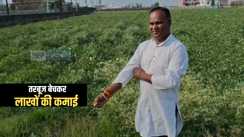 Bihar News : गया का यह किसान तरबूज बेचकर कर रहा लाखों की कमाई, पटना सहित कई शहरों में हैं डिमांड, जानिए खेती में कितनी आती है लागत