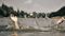 Jitiya Turns Tragic in Bihar