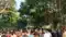 Bihar Flood