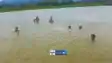 Nawada's drowned incident 