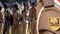 Bihar Police bharti