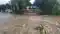 Bihar flood