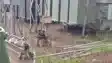 Kaimur Flood 