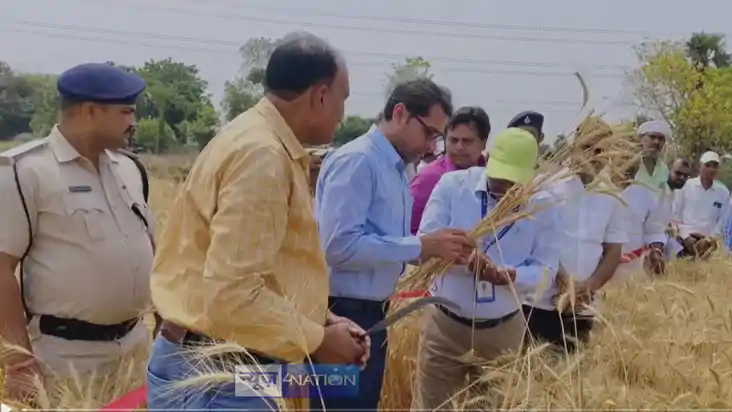 Bhojpur District Magistrate