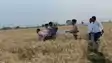 Rohtas Police shot a criminal in a wheat field