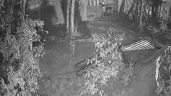 Dy CM Vijay Sinha order ignored widow alleges armed land grab plot