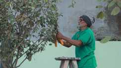 मिलिए बिहार के इकलौते प्लांट कर्टर से, हाथी, घोड़ा, ऊट, सोफा बना देते हैं सब...विधानसभा में भी दिखाई कलाकारी, भाजपा अध्यक्ष भी हैं मुरीद