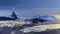 Indigo new flight 