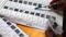 Bihar Voter List Revision
