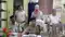Muzaffarpur Son in Law Held for Alleged Fake Robbery Plot to Grab Land