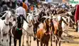 Morocco Ban on sacrifice 