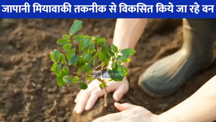 UP NEWS: ग्लोबल वार्मिंग से बचने के लिए निरंतर पौधरोपण अभिया UP NEWS: ग्लोबल वार्मिंग से बचने के लिए निरंतर पौधरोपण अभिया