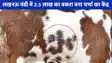 UP NEWS: लखनऊ के बकरे के नवाबों वाले शौक किसी सेलिब्रिटी से कम नहीं लखनऊ का ये ढाई लखिया VIP बकरा! बरबरी नस्ल का बकरा बना मंडी की शान