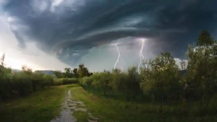 Weather Forecast