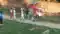 Vaishali Sword Attack Leaves