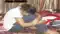 Patna Man Held for Assaulting Lover Over Marriage Pressure