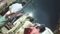 Muzaffarpur Police Assault Girl Viral Video Triggers Probe