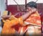 Marriage in jail campus - मंडप नहीं जेल परिसर में हुई दुष्कर्म के आरोपी की शादी, पीड़िता बनी दुल्हन, कोर्ट के आदेश पर लगे सात फेरे