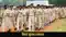  Bihar festival security