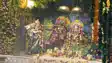 Krishna Janmashtam