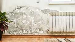 Moisture on walls