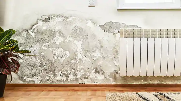 Moisture on walls