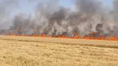 Bihar News : सासाराम में बिजली की चिंगारी ने बरपाया कहर, 150 बीघा से अधिक गेहूं की फसल जलकर हुई राख