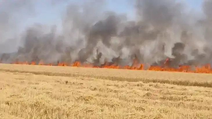 Bihar News : सासाराम में बिजली की चिंगारी ने बरपाया कहर, 150