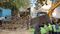 Danapur Encroachment Drive