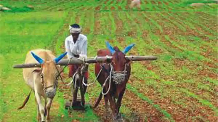 खेती की लागत घटेगी, मुनाफा बढ़ेगा! उन्नत बीजों पर 75% छूट पा