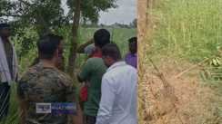 Valmiki forest