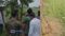 Valmiki forest