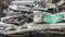 RJD leader dies in road accident